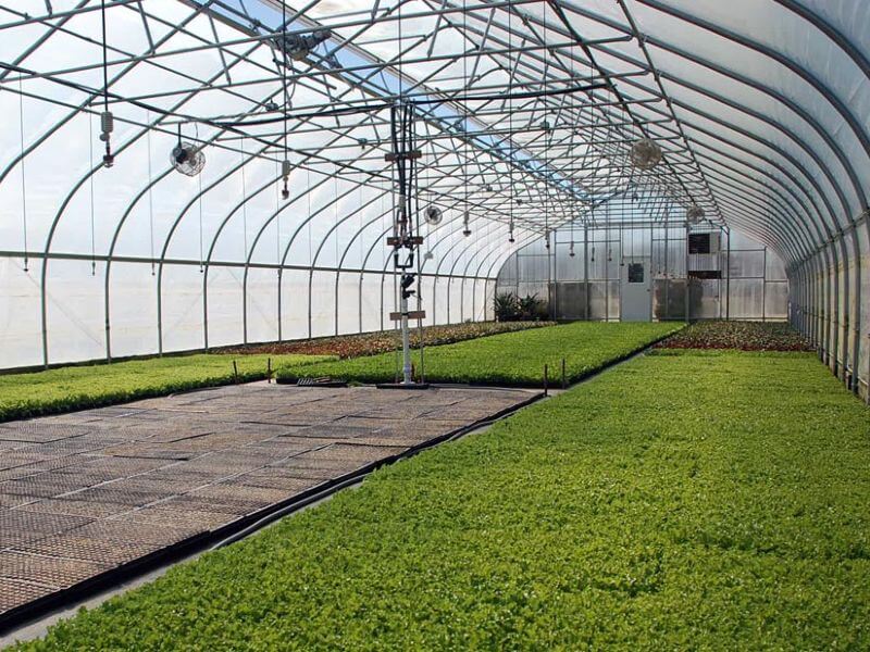 اجرای گلخانه